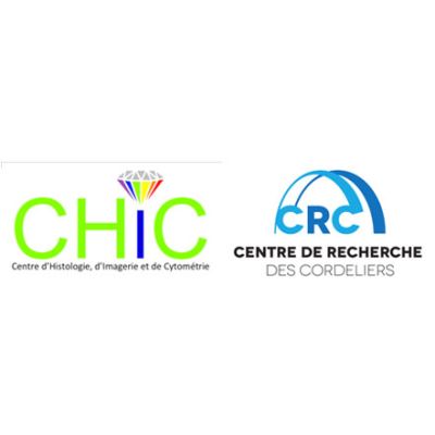 Logo-Chic